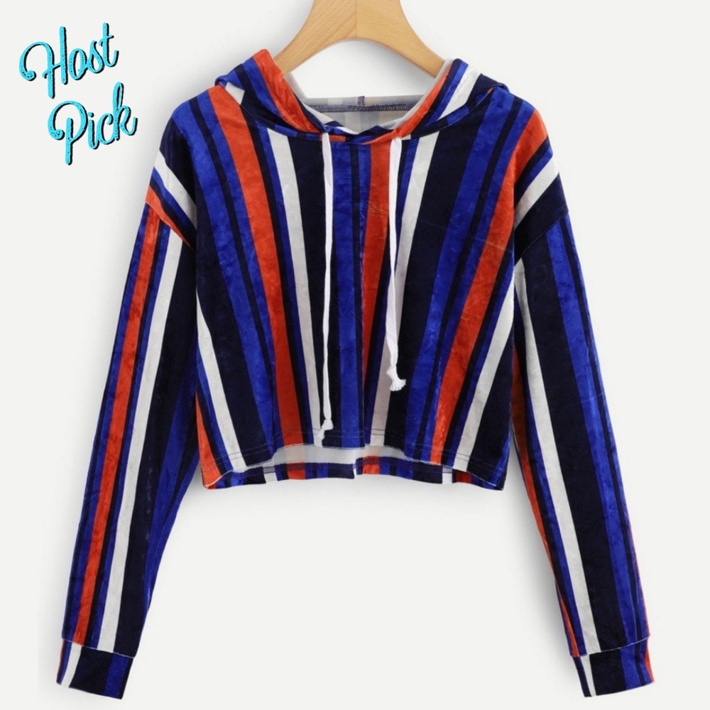 HP - Stripped Crushed Velvet Hooded Crop Pullover